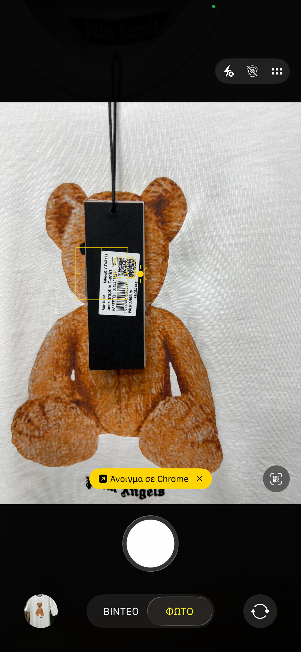 T-shirt Palm Angel bear p-0022