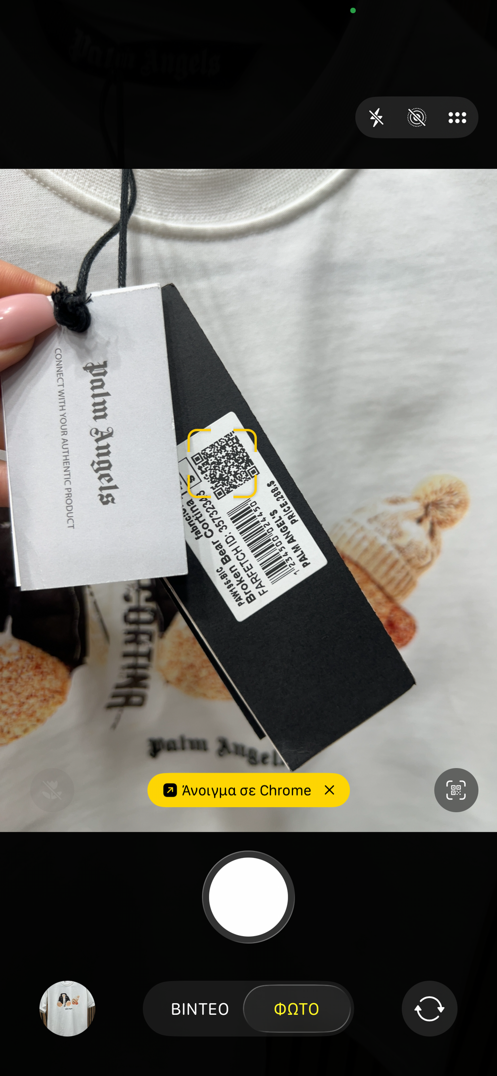 T-shirt Palm Angel bear p-0004