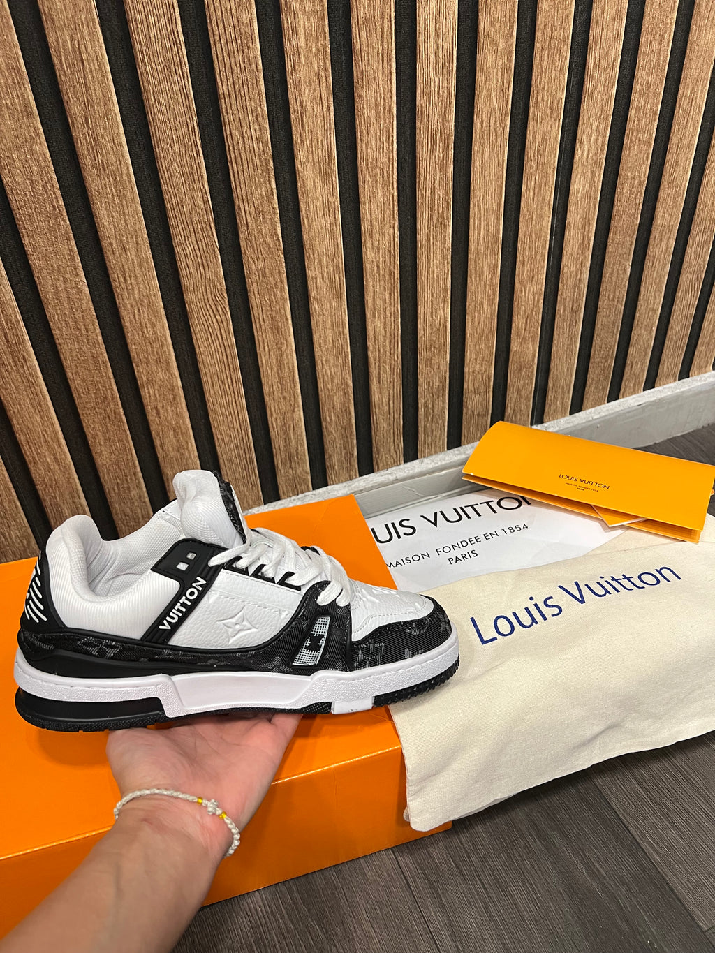 Louis Vuitton LV Trainers  low trainers L-30