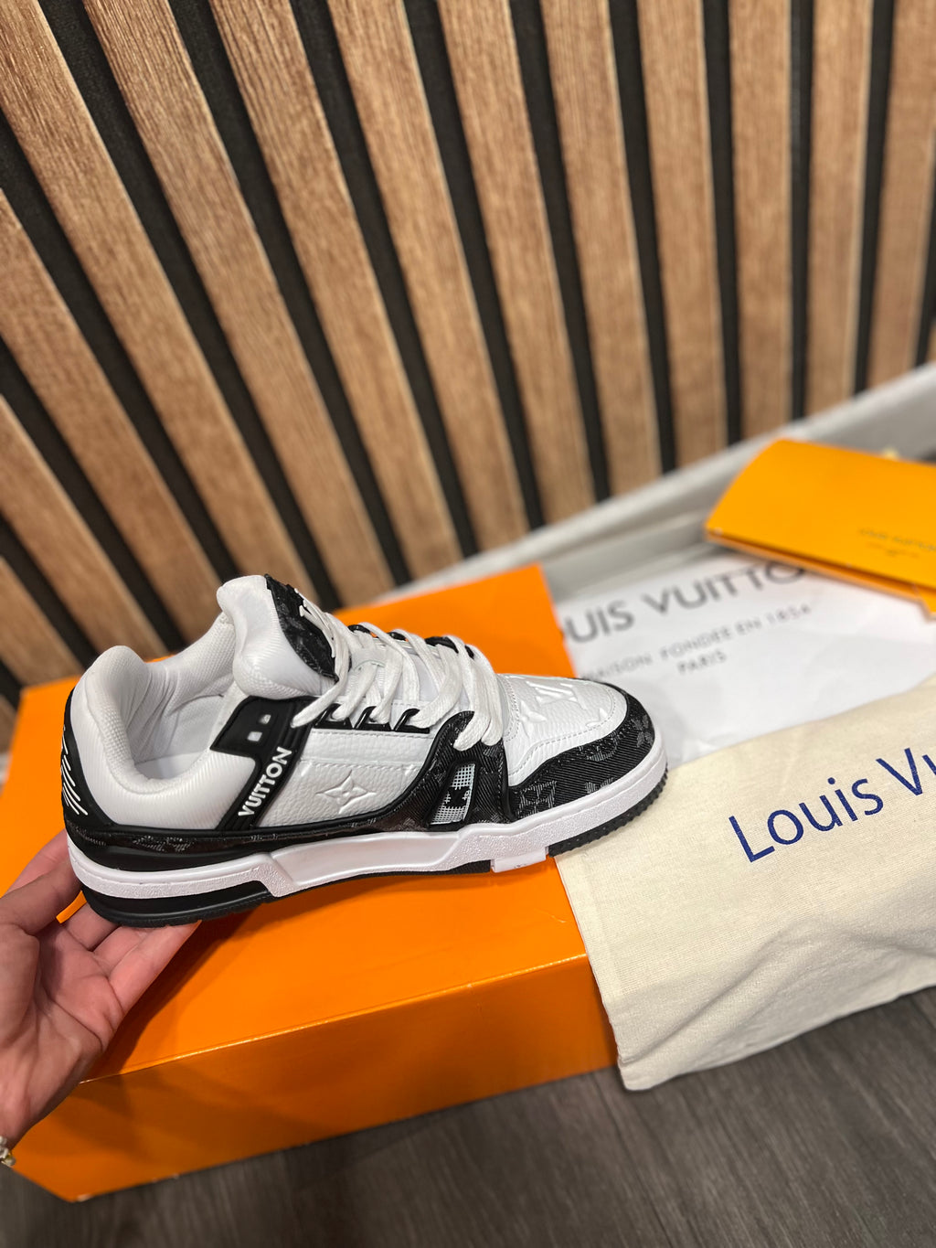 Louis Vuitton LV Trainers  low trainers L-30