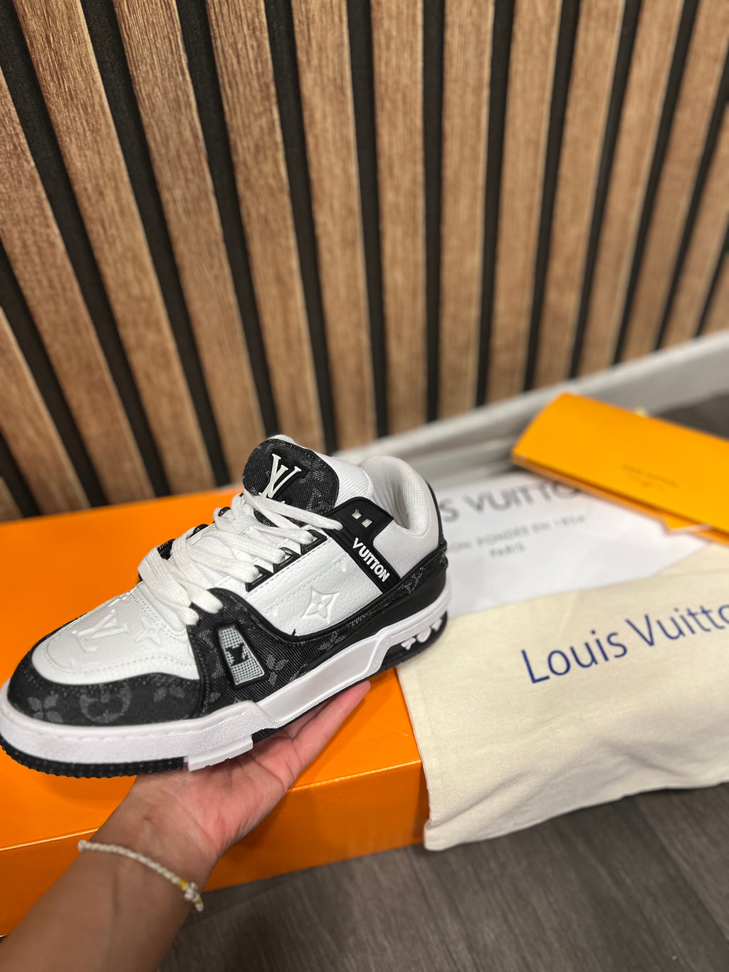 Louis Vuitton LV Trainers  low trainers L-30